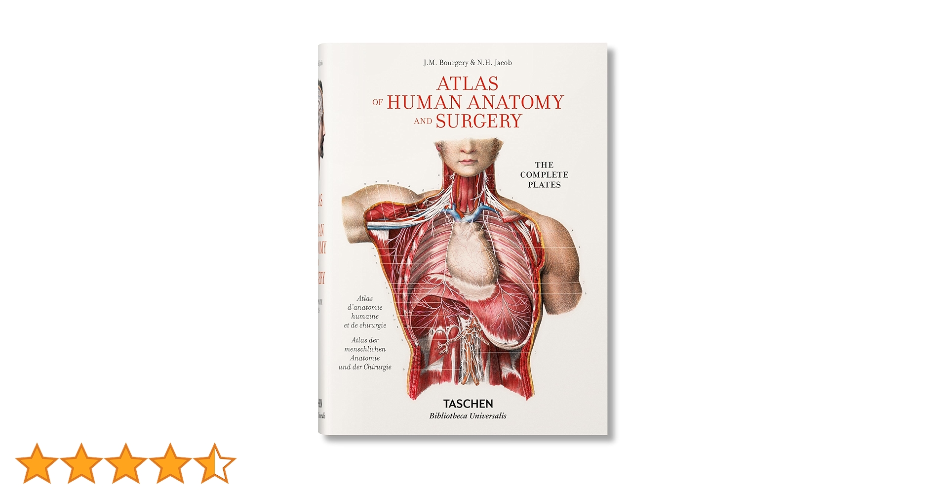 ATLAS OF HUMAN ANATOMY AND SURGERY 洋書　解剖 81SPxJI181L.jpg_BO30,255,255,